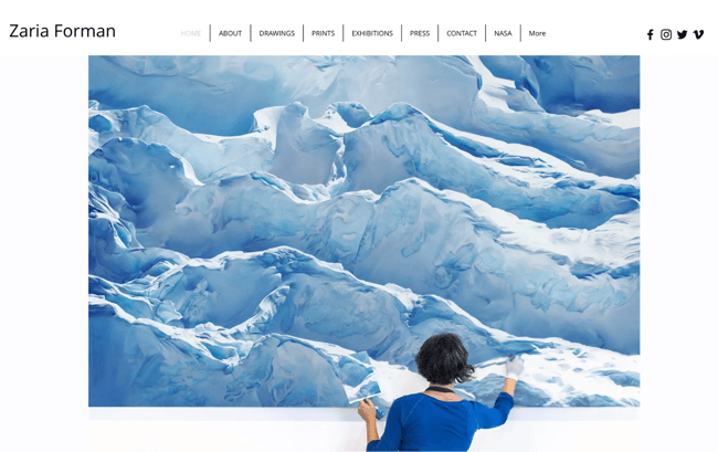  artist website example, Zaria Forman