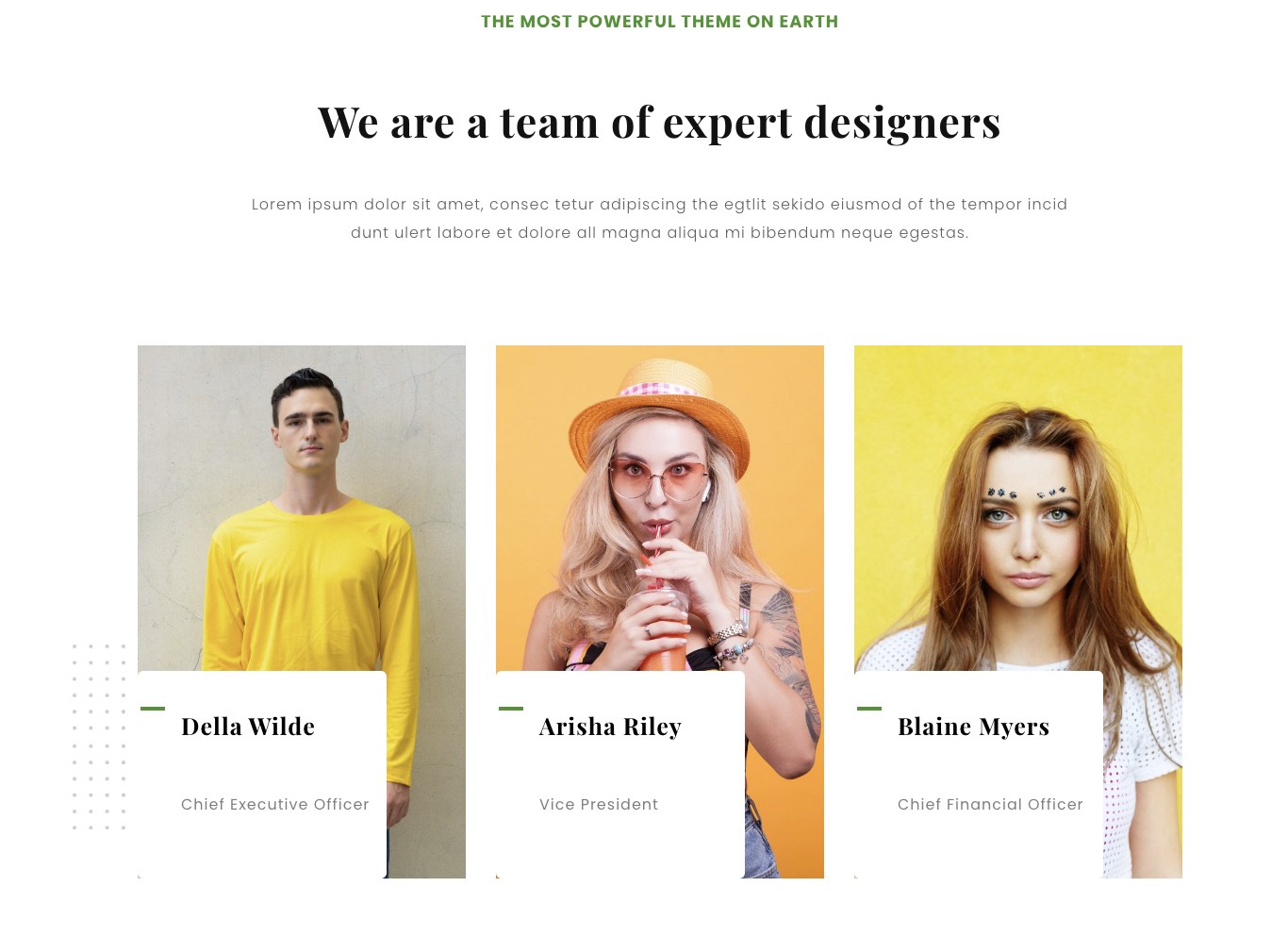 27 Best About Us And About Me Page Examples [+Templates]