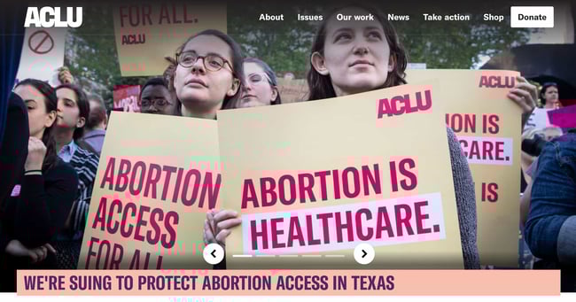 homepage for the accessible website example aclu