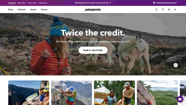 accessible website examples: Patagonia 