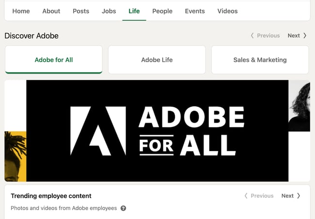  adobe life page example