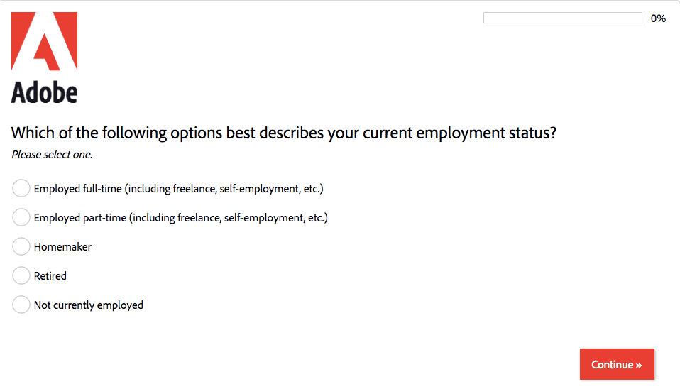 Professional Survey Template