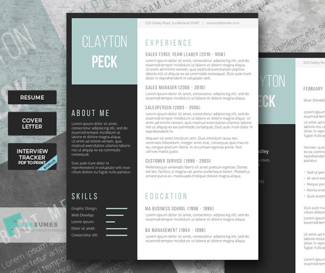 analytical resume template with colored blocks to highlight sections