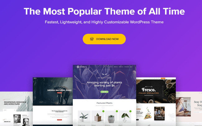 astra wordpress blog theme