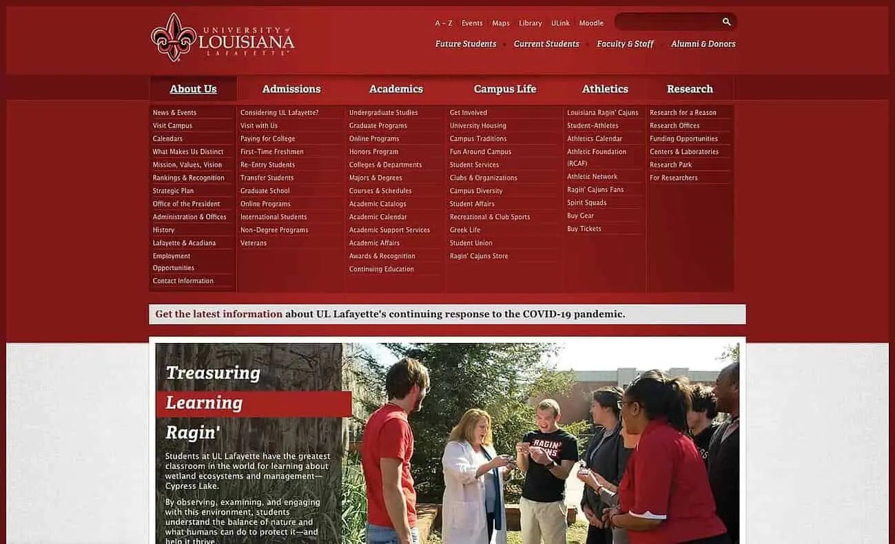 Examples of Bad Website Design: University of Louisiana