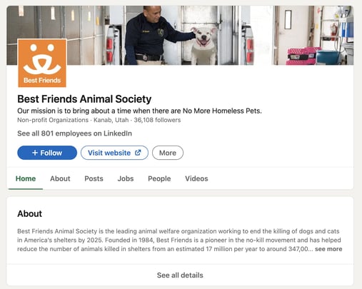 بهترین پروفایل های لینکدین غیر انتفاعی: صفحه اصلی انجمن حیوانات بهترین دوستان