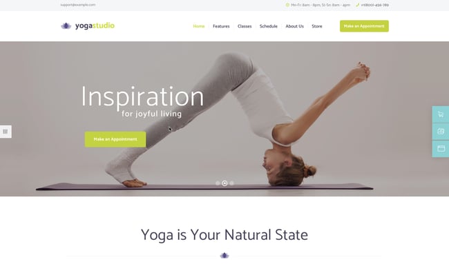 best wordpress health theme YogaStudio featuring CTA to book appointment