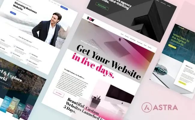 Astra Business Consulting WordPress Theme