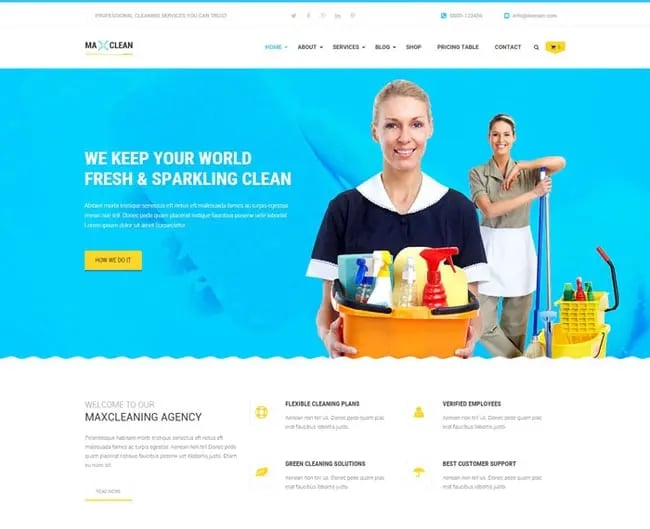 Max Cleaners and Movers, Wp theme