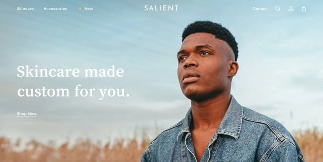 WordPress theme Salients Ecommerce demo site features hero image with parallax scrolling