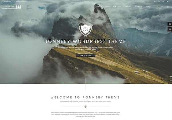 Best Parallax WordPress theme  Ronneby demo