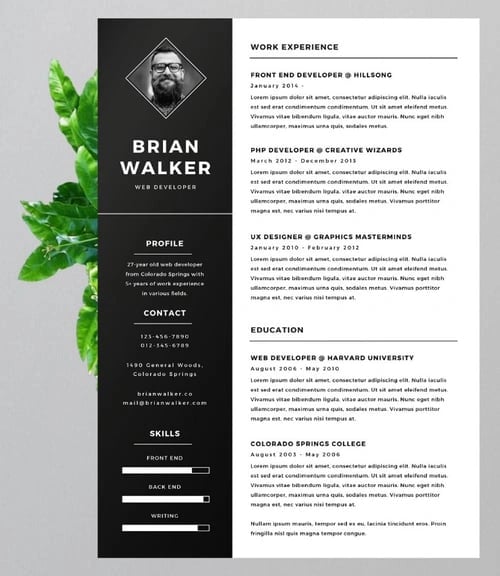 Best Resume Template: Bold classic resume
