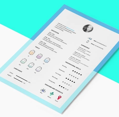 Best Resume Template: Playful and Professional Resume