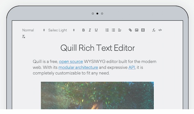 Best WYSIWYG editor example: Quill