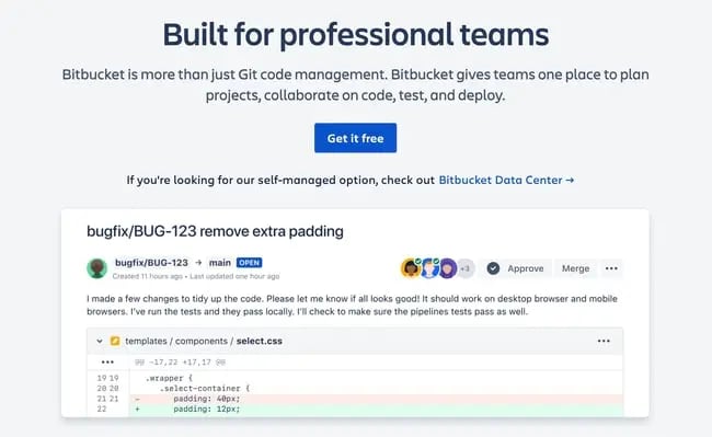 the homepage of the bitbucket website, which says "build for professional teams"