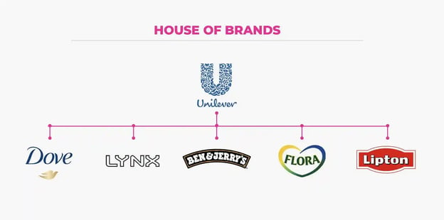 brand architecture example: house of brands