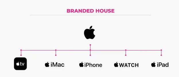 brand architecture 9.webp?width=624&height=272&name=brand architecture 9 - How to Develop Brand Architecture