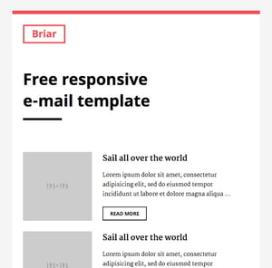 briar email newsletter template slicejack