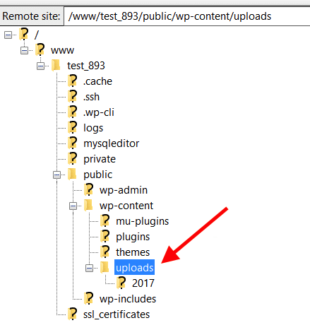 Uploads folder in wp-content directory of FileZilla