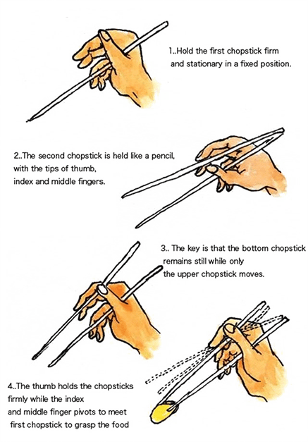 how-to-hold-chopsticks.png