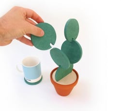 cacti-coasters.jpg