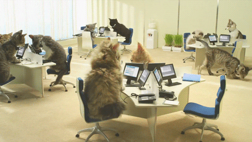 9 Gifs That Sum Up Customer Service Call Centers 9 Gifs That Sum Up Customer Service Call Centers
