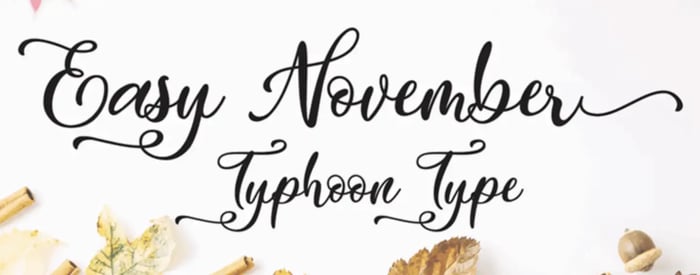 Curly calligraphy font called Easy November