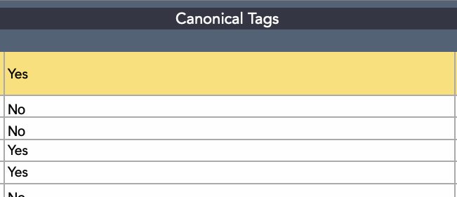 Content audit template example: Canonical Tags