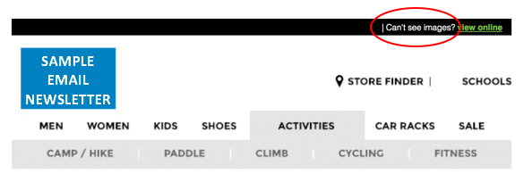 Email newsletter with "can't see images?" listed in preview text, not a marketing best practice