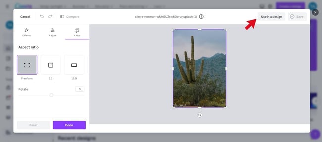 How to resize an image without losing quality in canva: use in a design button