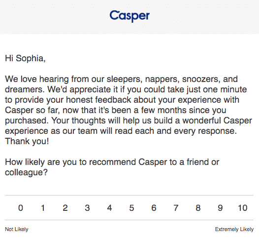 casper nps survey example