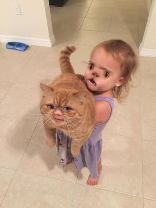 cat-snapchat-faceswap.jpg