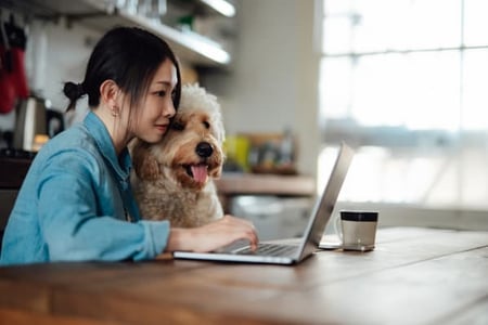 Person and their dog researching cheap web design tips at their kitchen table. 