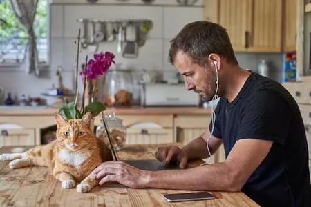 web developer and his cat checking java version