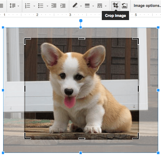 Recortar uma imagem de um filhote de cachorro dentro de um Google Doc