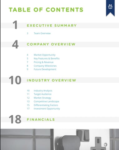 writing overview of business plan