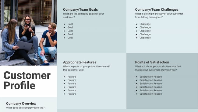 customer profile template from hubspot's offer