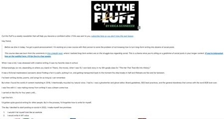 best email newsletter examples, Cut The Fluff