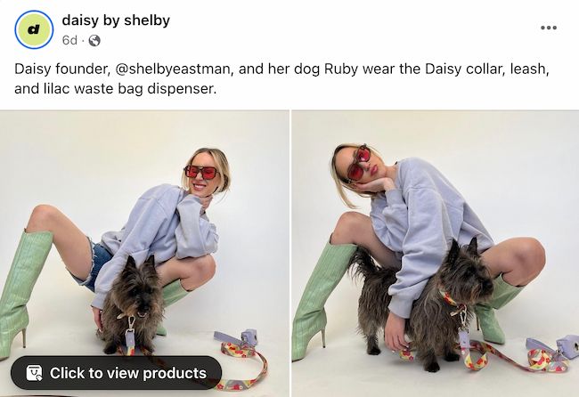 daisy by shelby.jpg?width=650&height=446&name=daisy by shelby - 41 Facebook Post Ideas for Businesses