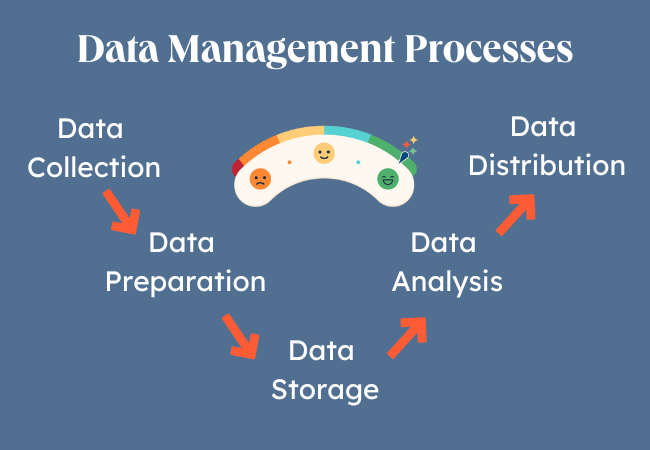 What Is the Data Analysis Process? (A Complete Guide)