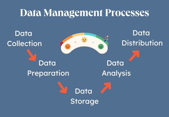 Data management processes graphic
