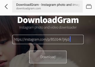 Página de inicio de DownloadGram con la URL compartida de la foto pegada en el cuadro de texto