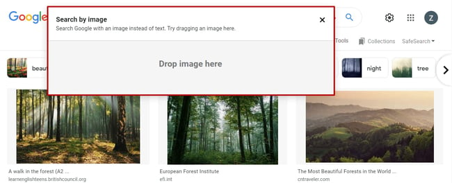drag image here box in Google for reverse image search