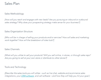 How to Write an Ecommerce Business Plan [Examples & Template]