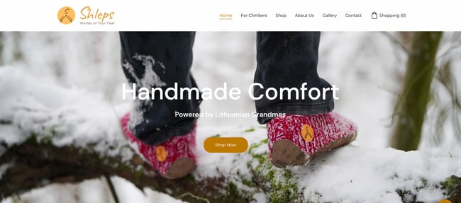 ecommerce website examples: shleps