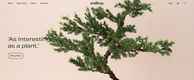 ecommerce website examples: soilboy