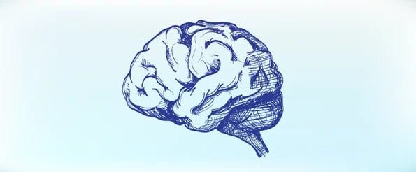 email psychology: image shows drawing of brain