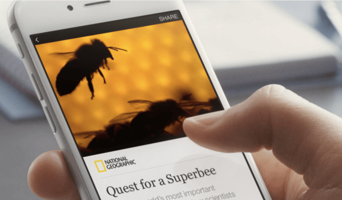 facebook instant articles bee-1.png