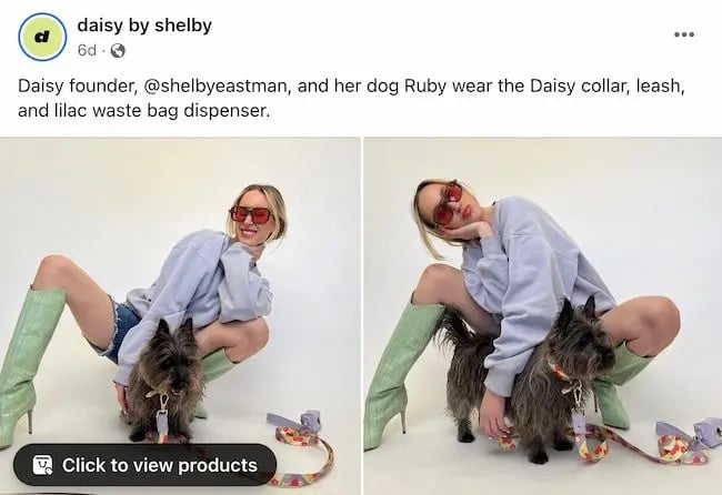 Facebook post ideas: Daisy by Shelby