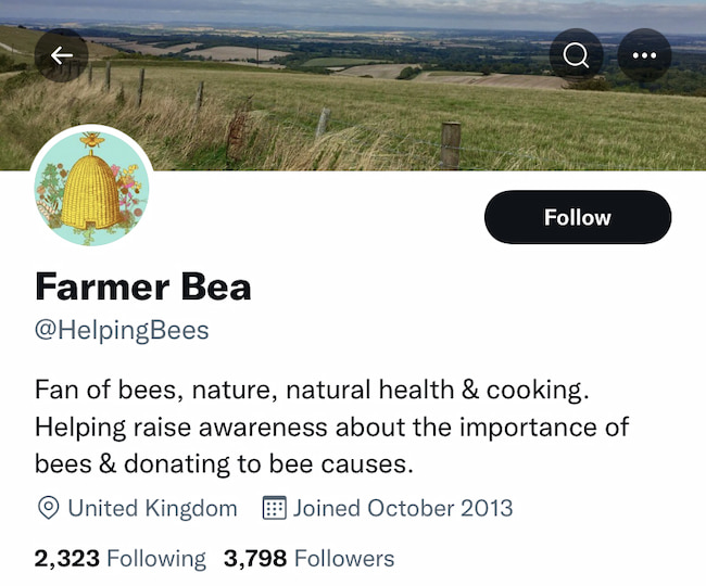 Short professional bio example of Farmer Bea on Twitter 